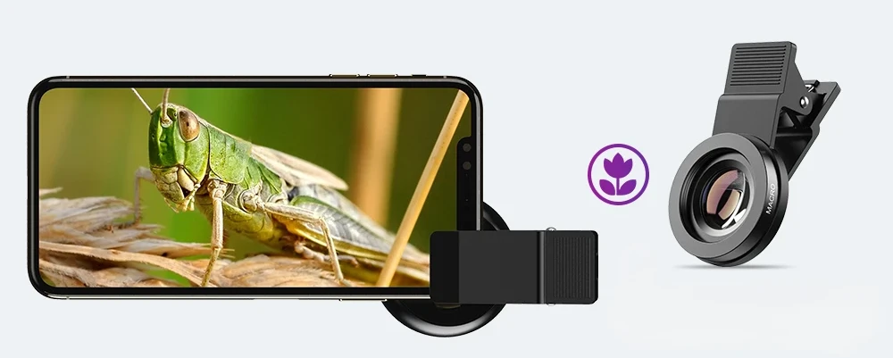 Objectif Macro pour Smartphone Vue sauterelle gros plan