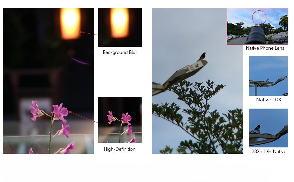 Téléobjectif X28 pour iphone vue oiseau et fleur