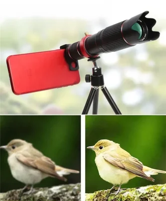 Vue oiseau net vs flou grâce au téléobjectif ZoomVision Pro X36 pour smartphone