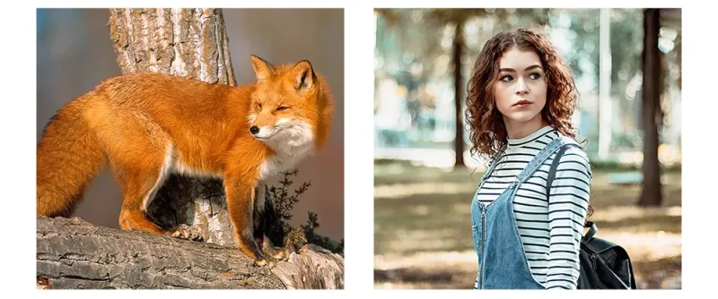 photo portrait fille et renard avec Téléobjectif pour téléphone portable