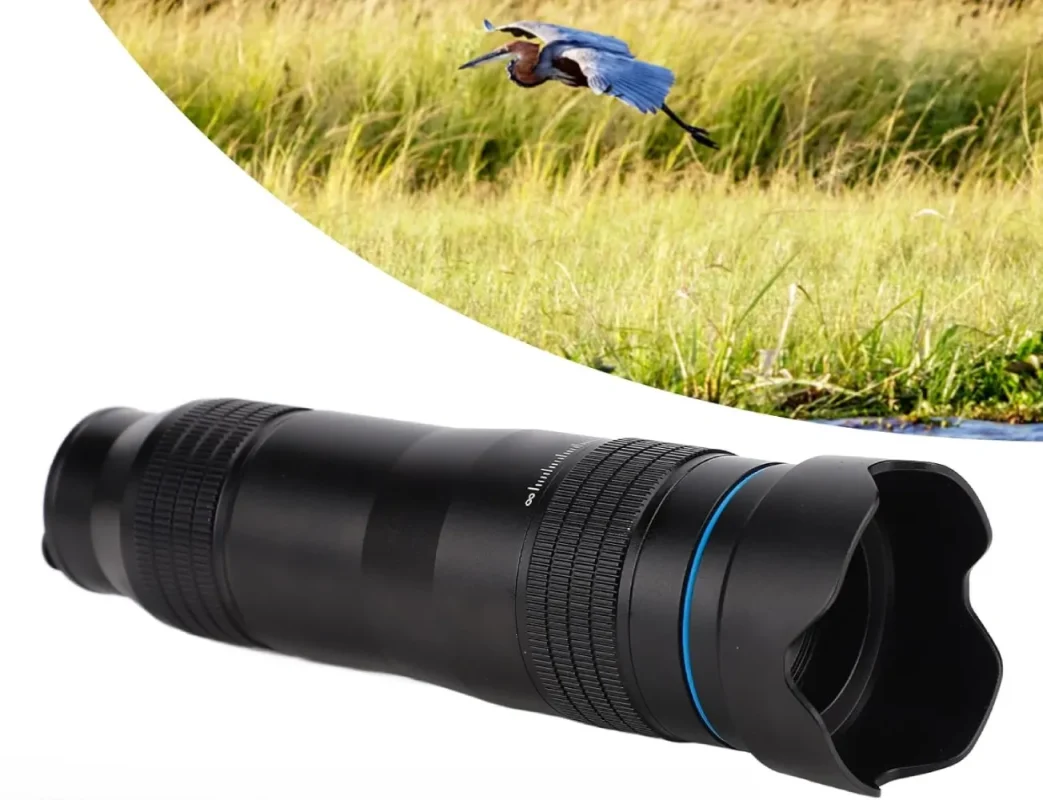 Téléobjectif pour Smartphone Vue oiseau sauvage